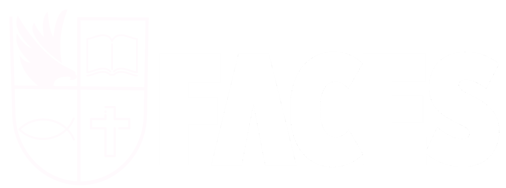 Seminário FACES